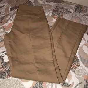 Express columnist dress pant